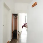 Ferienapartments In Schierke Am Brocken Direkte Wanderweglage * Wernigerode