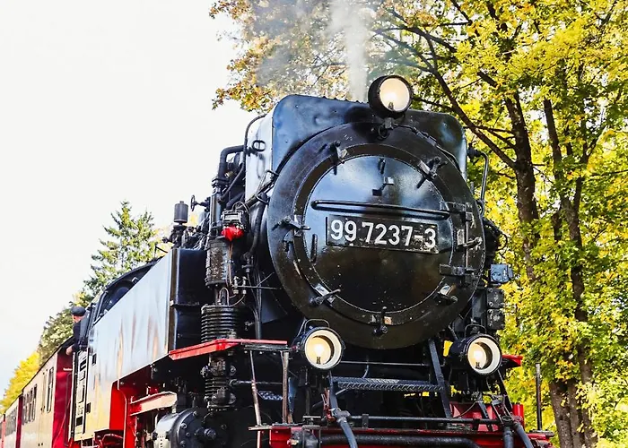 Ferienapartments In Schierke Am Brocken Direkte Wanderweglage