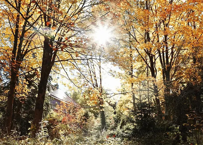 Ferienapartments In Schierke Am Brocken Direkte Wanderweglage