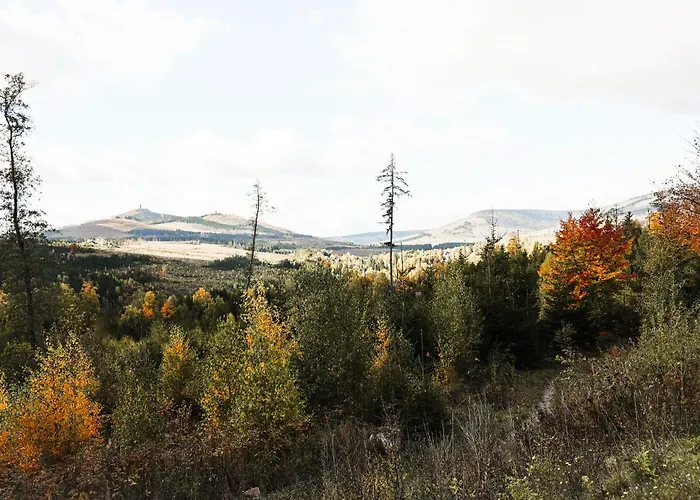 Ferienapartments In Schierke Am Brocken Direkte Wanderweglage Appartamento Wernigerode
