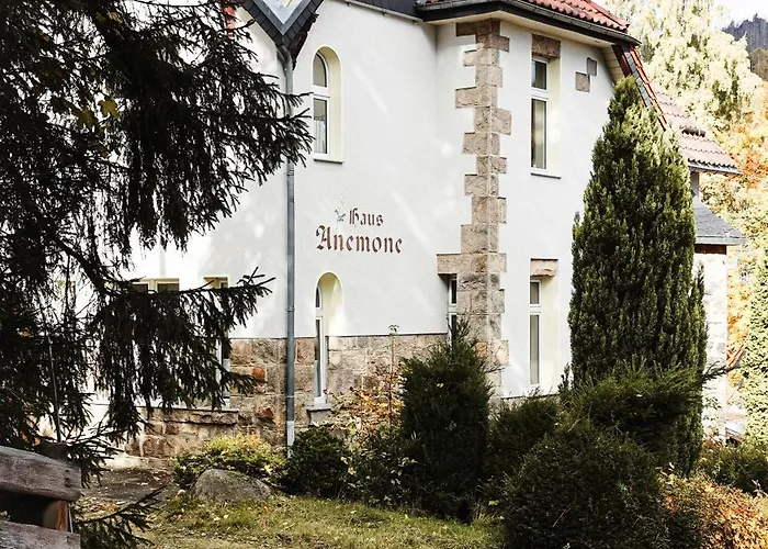 Ferienapartments In Schierke Am Brocken Direkte Wanderweglage *